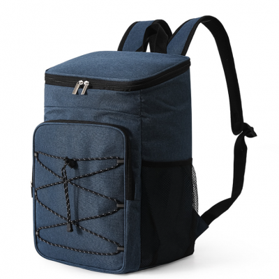 HD-LB009 Lunch Cooler Backpack